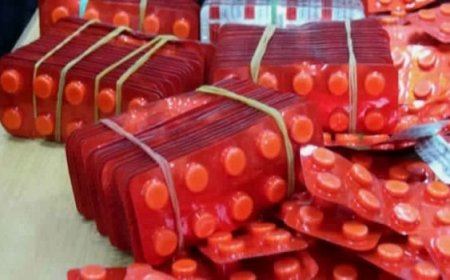 حجز 1052كبسولة مهلوسة بعزابة في سكيكدة