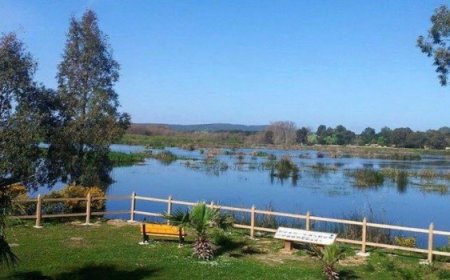 التفاتة "طيبة"