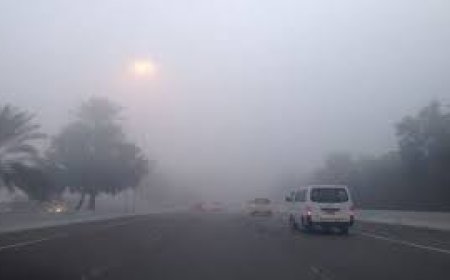 ضباب كثيف بالشمال 