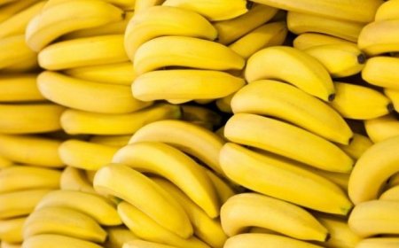 تبسة: حجز ما يقارب 88 قنطارا من الموز المعد للتهريب بمرسط