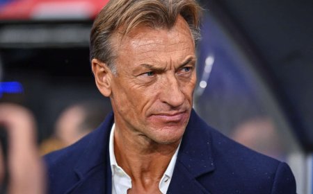 الاعلام المصري يعتبر الجزائر اهم عقبة تحول دون إتمام الاتفاق مع المدرب الفرنسي هيرفي رونار