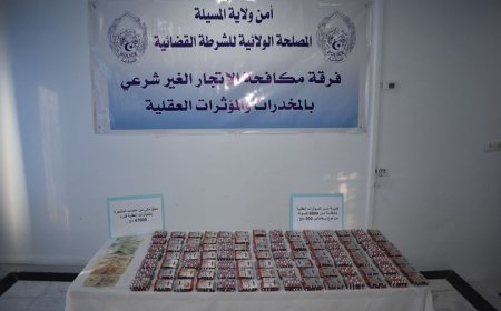 مسيلة:  حجز 6000 كبسولة مهلوسة و توقيف مروجيها 