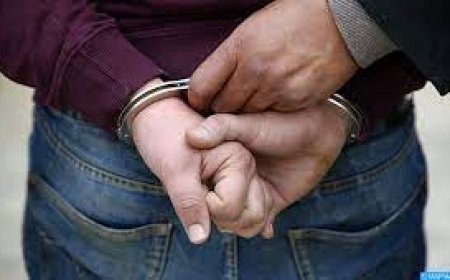 القبض على مسبوق قضائيا متهم في 14قضية سرقة مسكن بالصفصاف