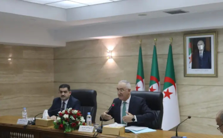 ضمان التموين بالمياه محور لقاء وزير المالية مع وزير الري