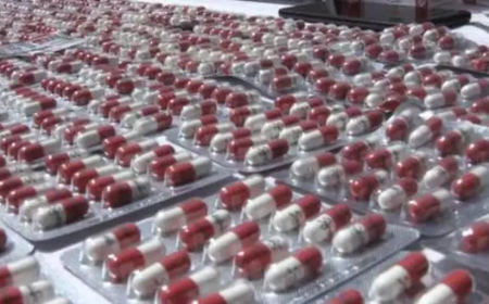 برج بوعريريج:  تسجيل 818 قضية وحجز 1281 غرام من الكيف و19783 قرصا مهلوسا