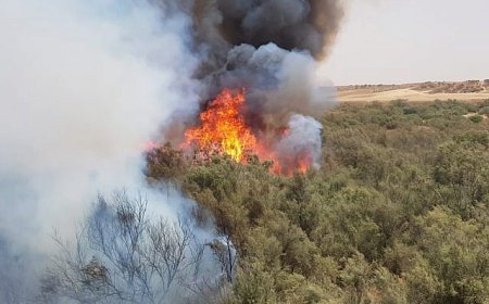 إندلاع ثلاث حرائق بالشحنة ، الشقفة وبني ياجيس بجيجل