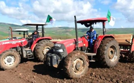 أم البواقي:  عملية زراعة البقول الجافة بالمزارع النموذجية تنطلق