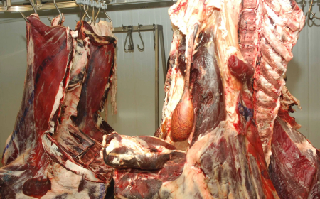 حجز أكثر من قنطار من اللحوم  الحمراء وأحشاء الدواجن الفاسدة بجيجل 