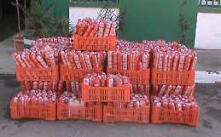 برج بوعريريج:  حجز 460 كيلوغراما من الجبن والكاشير غير صالح للاستهلاك البشري