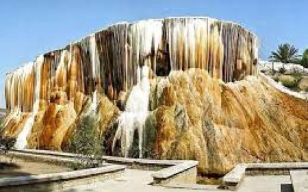 مبادرة تستحق التعميم