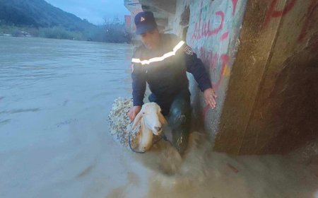 فيضانات بعدة مناطق بجيجل والحماية المدنية تتدخل  