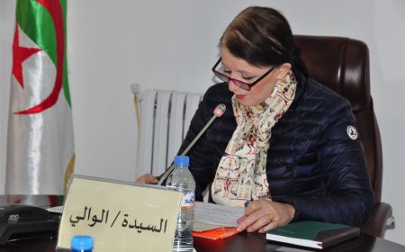 لجنة تحقيق ولائية بمدرسة الشهيد بوقلوف مبروك ببني بشير في سكيكدة