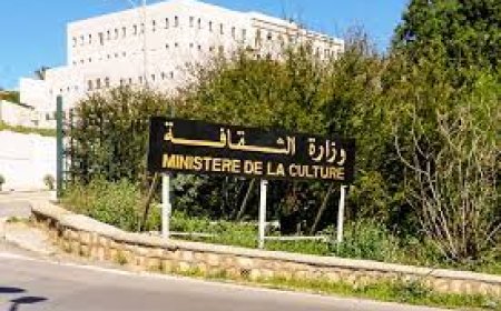 منتجو الأفلام يطالبون بالدعم 