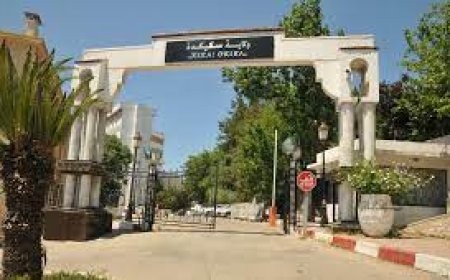 تطهير كبير يطال قوائم  منحة التضامن بسكيكدة