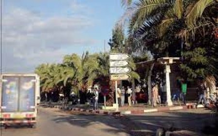  بلديّة التريعات :  مقاولون يراسلون الوالي  ويطالبونه بالتحقيق 