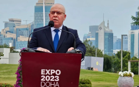 وزير الفلاحة: الوضع المتعلق بأسراب الجراد  "تحت السيطرة"