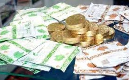 برج بوعريريج:  توقيف شخص وحجز 53000 كيس من مادة الشمة و 13472 علبة سجائر