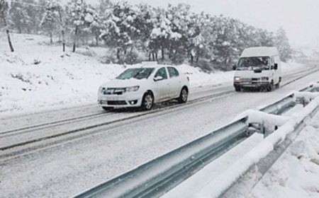 استمرار تساقط الثلوج على المرتفعات التي يفوق علوها 1000 متر بعدد من ولايات الوطن