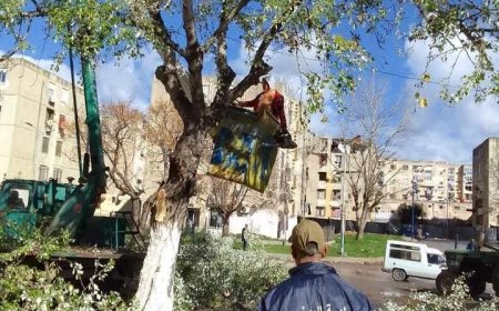  اعادة الاعتبار لحديقة "بوحوش" 