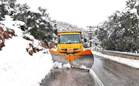 ثلوج وأمطار رعدية على العديد من ولايات الوطن