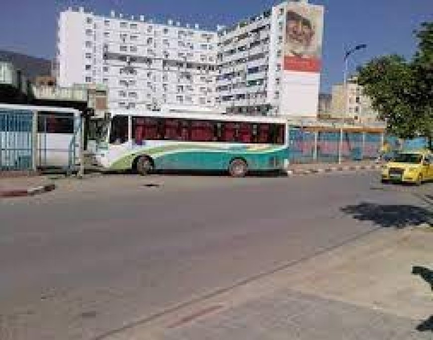 عنابة: مديرية النقل تفتح 32خطا لحافلات نقل المسافرين بين البلديات