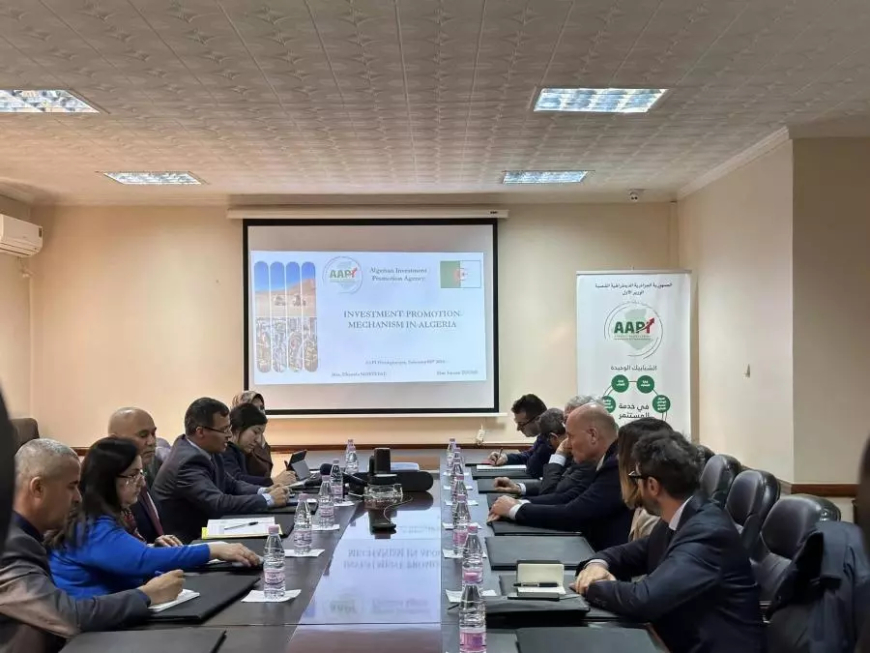 شركة إيطالية تبدي استعدادها لتنفيذ استثمارات كبرى في الجنوب