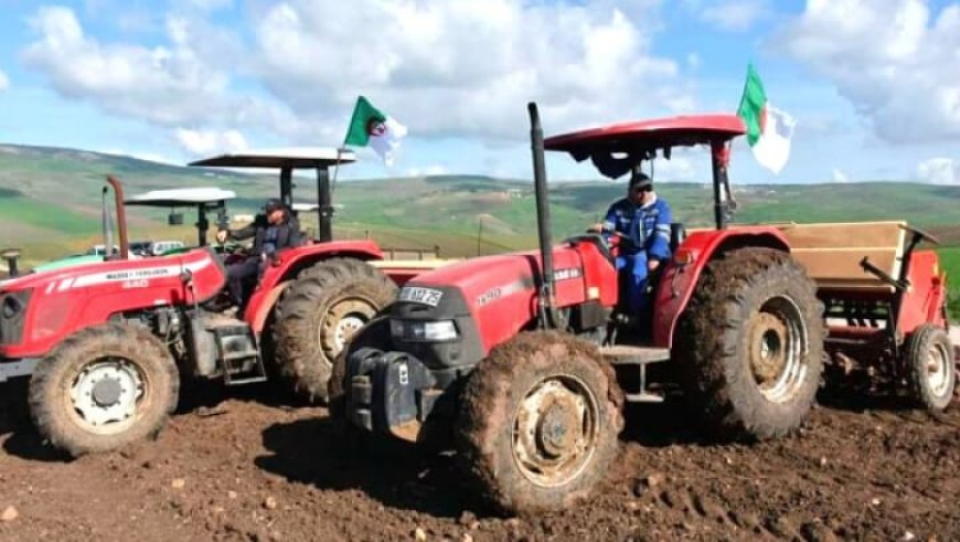 أم البواقي:  عملية زراعة البقول الجافة بالمزارع النموذجية تنطلق
