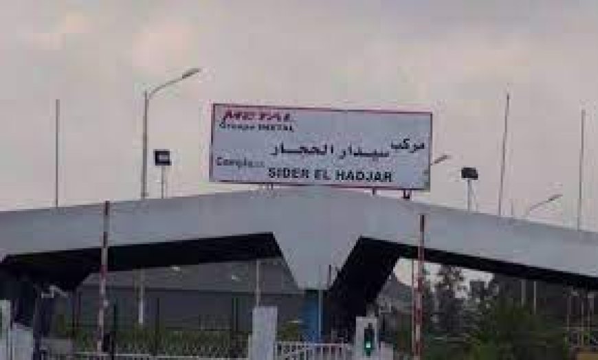 لجنة المشاركة "تزف" خبرا سارا 