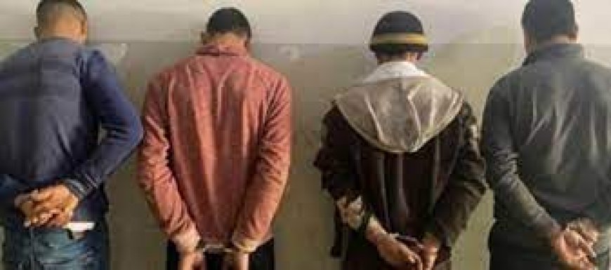    توقيف 6أشخاص متهمين بسرقة منازل بحي الصفصاف  