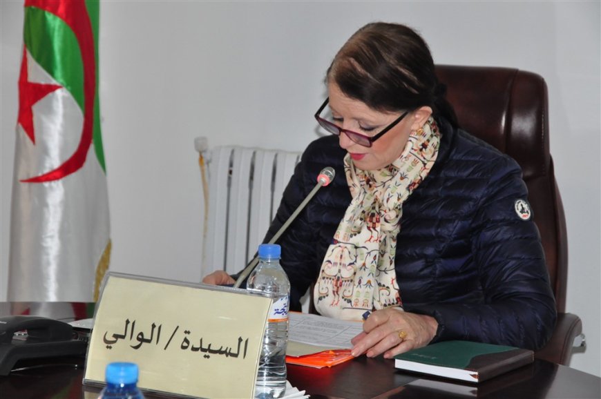 لجنة تحقيق ولائية بمدرسة الشهيد بوقلوف مبروك ببني بشير في سكيكدة