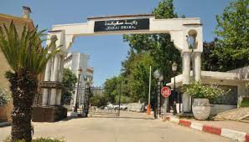 تطهير كبير يطال قوائم  منحة التضامن بسكيكدة