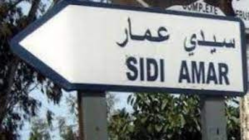 وعد " مير سيدي عمار 