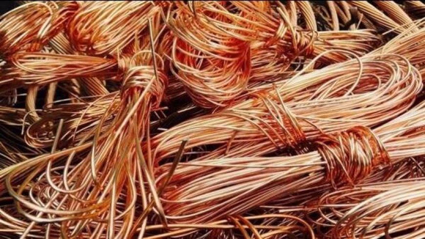 الطارف:  الاطاحة بعصابة مختصة في سرقة الكوابل النحاسية بشبيطة مختار