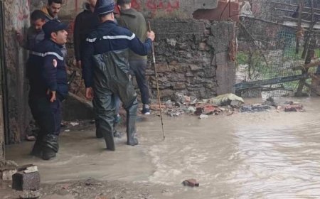 عنابة: حــريق بيتان بلاستيكيان يستعملان لتربية الدواجن ببرحال