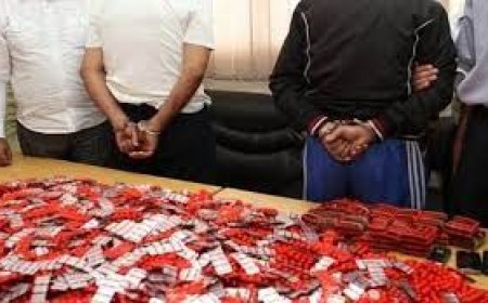 توقيف 04 أشخاص من بينهم امرأة و حجز أزيد من 4800 كبسولة بخنشلة