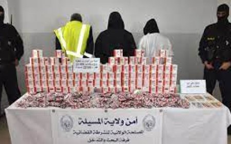 فرقة البحث والتدخل بالمسيلة تحجز 29700 كبسولة مهلوسة