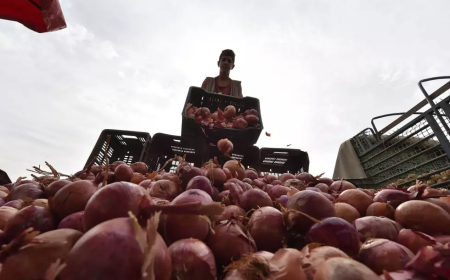 بداية تفريغ مخزون البصل والثوم 