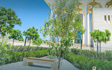 زيتونة" القدس " تزين حديقة جامع الجزائر