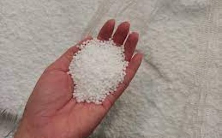 المدير العام لفرع فرتيال بوهران يستفسر عن اختفاء 3500 طن من مادة "الماب"