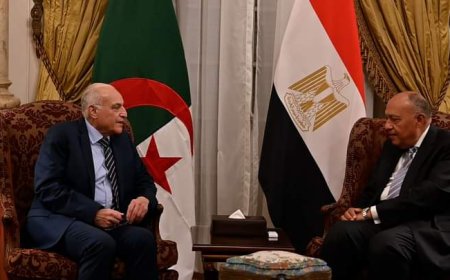 عطاف" يطير" للقاهرة 