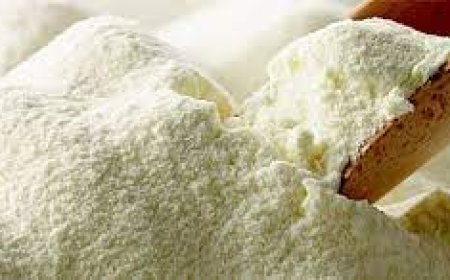 زيادة حصة مسحوق الحليب المدعم بـ 100 طن خلال الشهر الفضيل بباتنة