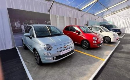 بنك البركة الجزائري يشرع في تمويل اقتناء سيارات "فيات" المنتجة محلياً