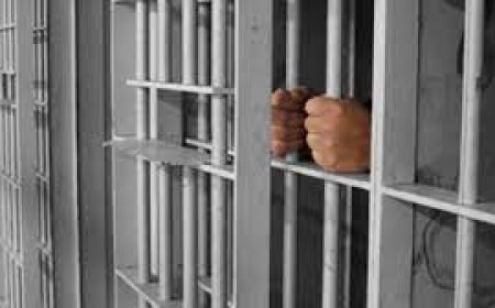 باتنة: إيداع الحبس أمين الضبط الموقوف في قضية اختفاء مبلغ قارب 20 مليون سنتيم من المحجوزات