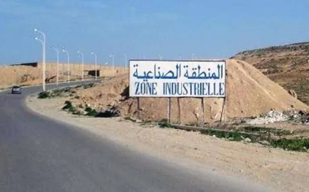 عنابة: استرجاع أكثر من 197 هكتارا من العقار الصناعي غير المستغل