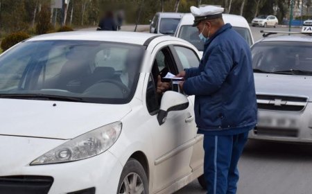 أرقام مرعبة بالجزائر العاصمة