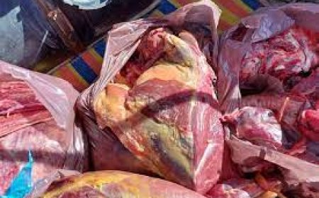 أم البواقي:  حجز أزيد من 200 كلغ من اللحوم الفاسدة بعين البيضاء