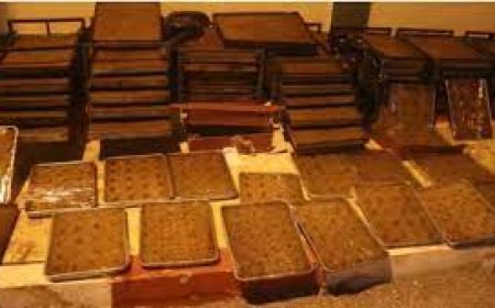 عنابة:  حجز " قلب اللوز" فاسد في بوثلجة  