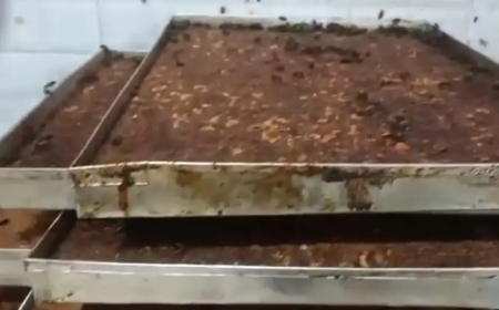 حجز أزيد من 10 قناطير من "قلب اللوز" داخل ورشة لصناعة الحلويات التقليدية بالبوني