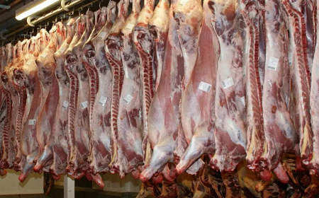 تقديم المتورطين في قضية اللحوم المستوردة  المحجوزة  أمام الجهات القضائية