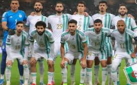 الدفاع أكبر المشاكل التي تؤرق بيتكوفيتش قبل تربص شهر جوان المقبل